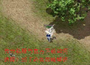 ����˽����ٷ��������ѡ�����ֱر����Խ���
