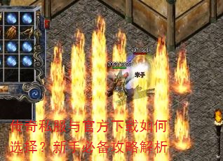 ����˽����ٷ��������ѡ�����ֱر����Խ���