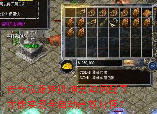 ����˽���һ�����������ò���ʵ��ȫ�Զ���Ч��֣�
