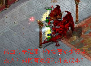 ��Ѫ����˽��������Ҫ�����ʽ�Ͷ�룿�����Ч���ƿ����ɱ���
