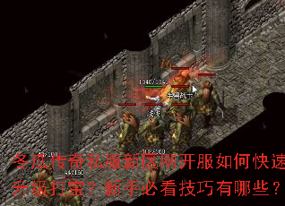 冬瓜传奇私服新区刚开服如何快速升级打宝?新手必看技巧有哪些? 冬瓜传奇私服新区刚开服如何快速升级打宝?新手必看技巧有哪些?