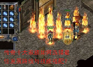 ����ʮ��������ѡ����ѷ�չ·���뼼�ܴ��䣿