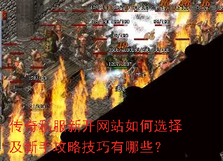 ����˽���¿���վ���ѡ�����ֹ��Լ�������Щ��