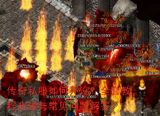 ����˽����ο��裿ȫ�׽̳̲����볣��������