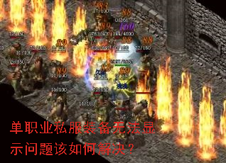 ��ְҵ˽��װ���޷���ʾ�������ν����