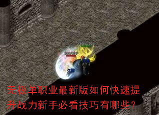 �޼���ְҵ���°���ο�������ս�����ֱؿ���������Щ��