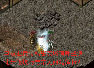 单职业传奇私服攻略有哪些快速升级技巧与常见问题解析? 单职业传奇私服攻略有哪些快速升级技巧与常见问题解析?