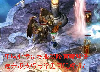 单职业传奇私服攻略有哪些快速升级技巧与常见问题解析? 单职业传奇私服攻略有哪些快速升级技巧与常见问题解析?