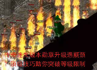 ������ʧ�汾ѫ��������ƿ����������������ͻ�Ƶȼ�����