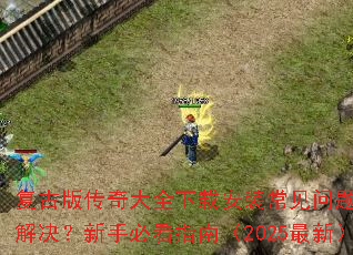 ���Ű洫���ȫ���ذ�װ����������ν�������ֱؿ�ָ�ϣ�2025���£�