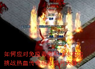 ���Ӧ�����߶��Ժͱ���������ս��Ѫ����˽���������飿