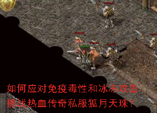 ���Ӧ�����߶��Ժͱ���������ս��Ѫ����˽���������飿