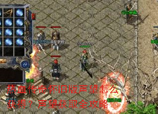 ��Ѫ���滳�ɰ�������ô��ã�������ȡȫ����