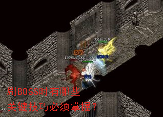ˢBOSSʱ����Щ�ؼ����ɱ������գ�