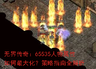 �޽紫�棺65535�������������󻯣�����ָ��ȫ����