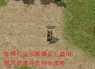 ��δ��켫�ޱ�װ��Ѫ���ȷ�ļ���֮·ȫ����