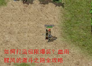 ��δ��켫�ޱ�װ��Ѫ���ȷ�ļ���֮·ȫ����