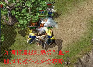 ��δ��켫�ޱ�װ��Ѫ���ȷ�ļ���֮·ȫ����
