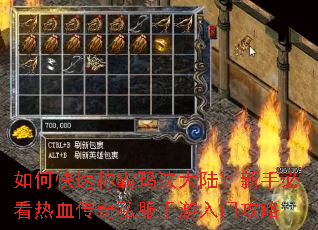 如何快速称霸玛法大陆?新手必看热血传奇私服手游入门攻略 如何快速称霸玛法大陆?新手必看热血传奇私服手游入门攻略