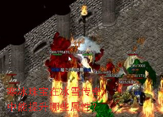 �����鱦�ڱ�ѩ��������������Щ���ԣ�