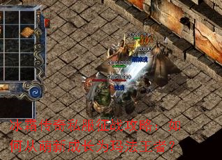 冰霜传奇私服征战攻略:如何从萌新成长为玛法王者? 冰霜传奇私服征战攻略:如何从萌新成长为玛法王者?