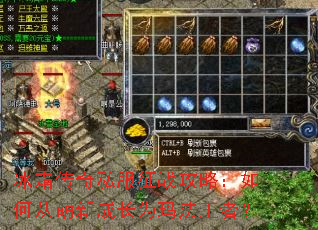 冰霜传奇私服征战攻略:如何从萌新成长为玛法王者? 冰霜传奇私服征战攻略:如何从萌新成长为玛法王者?