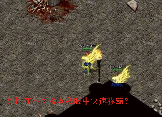 如何在不同版本私服中快速称霸? 如何在不同版本私服中快速称霸?