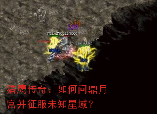 ��ӥ���棺����ʶ��¹�������δ֪����