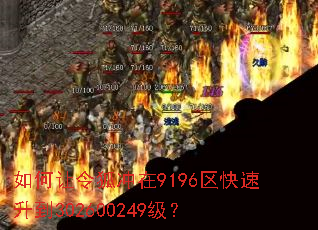 ������������9196����������302600249����