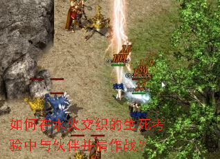 �����ˮ��֯���������������鲢����ս��
