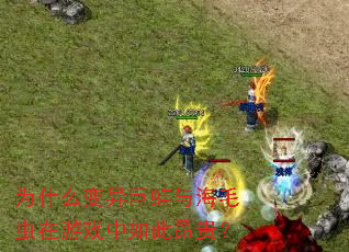 Ϊʲô��������뺣ë������Ϸ����˰���