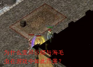 Ϊʲô��������뺣ë������Ϸ����˰���