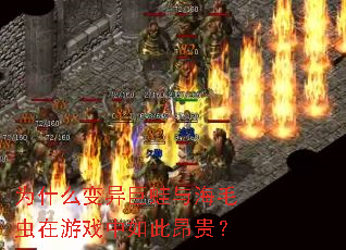 Ϊʲô��������뺣ë������Ϸ����˰���