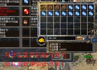 Ϊʲô��������뺣ë������Ϸ����˰���