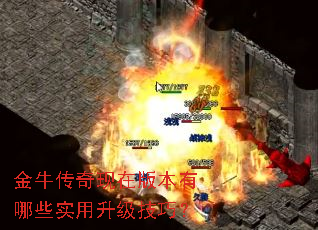 ��ţ�������ڰ汾����Щʵ���������ɣ�