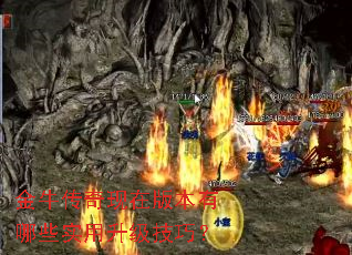 ��ţ�������ڰ汾����Щʵ���������ɣ�