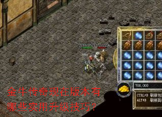��ţ�������ڰ汾����Щʵ���������ɣ�