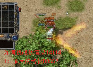 �����ս����¼141141��������ռ�BOSS��