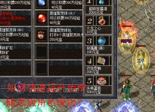 如何快速提升传奇暗黑版角色等级? 如何快速提升传奇暗黑版角色等级?