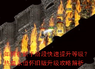 ��������ֽ׶ο��������ȼ�����Ѫ���㻳�ɰ��������Խ���