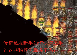 ����˽��������ο������֣���Щ��������������