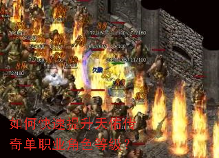 ��ο����������Ӵ��浥ְҵ��ɫ�ȼ���