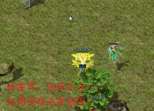 长生界:逆天之途——如何突破永生极限? 长生界:逆天之途——如何突破永生极限?