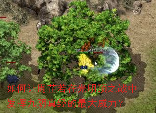 ������������ڹ�����֮ս�з��Ӿ����澭�����������