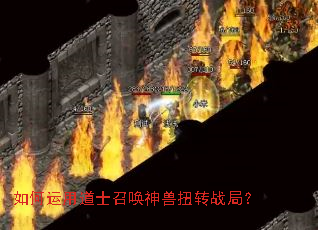 ������õ�ʿ�ٻ�����Ťתս�֣�