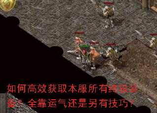 如何高效获取本服所有终极装备?全靠运气还是另有技巧? 如何高效获取本服所有终极装备?全靠运气还是另有技巧?