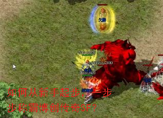如何从新手起步,一步步称霸博创传奇SF? 如何从新手起步,一步步称霸博创传奇SF?