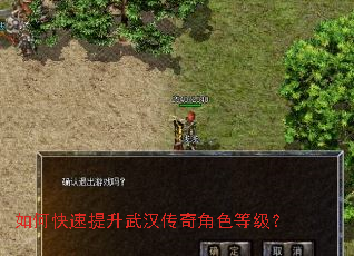 如何快速提升武汉传奇角色等级? 如何快速提升武汉传奇角色等级?