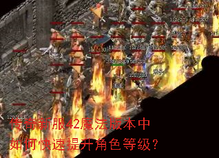 传奇新服42魔法版本中如何快速提升角色等级? 传奇新服42魔法版本中如何快速提升角色等级?