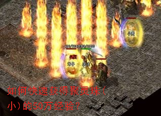 如何快速获得聚灵珠(小)的50万经验? 如何快速获得聚灵珠(小)的50万经验?